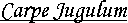 Carpe Jugulum